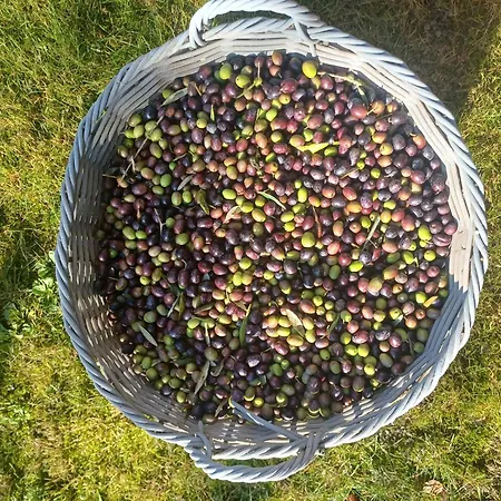 Giorgini Apartment *