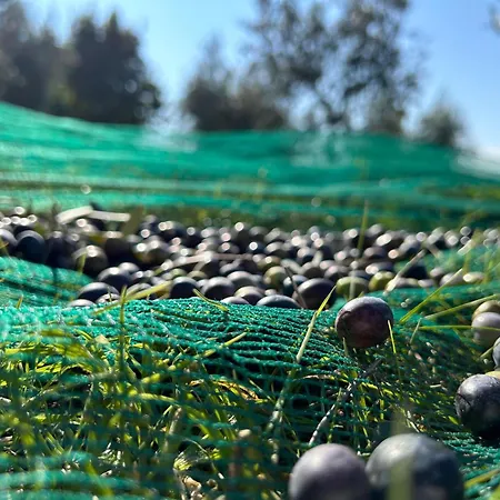 Apartamento Giorgini *