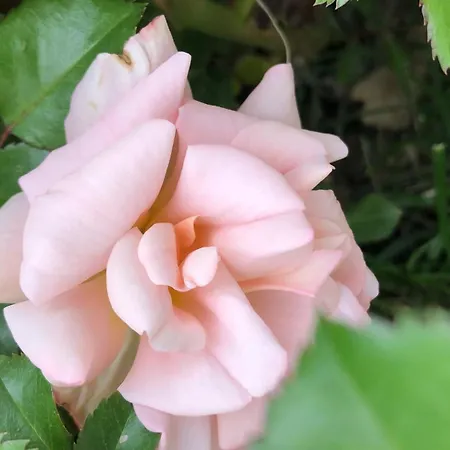 Giorgini Apartamento