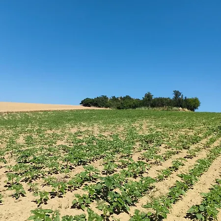 Giorgini * Marsciano