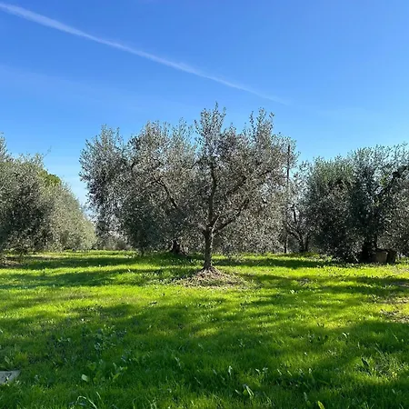 Apartamento Giorgini Marsciano