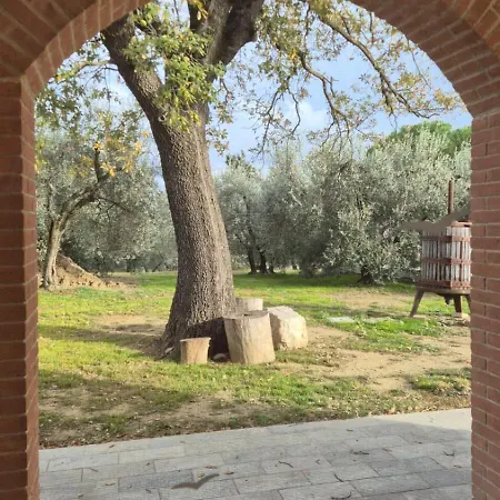 Giorgini Apartamento *