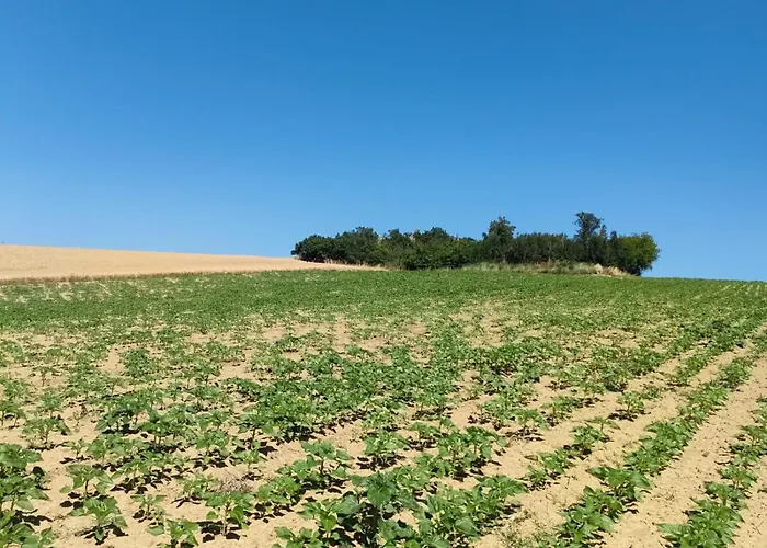 Giorgini * Marsciano