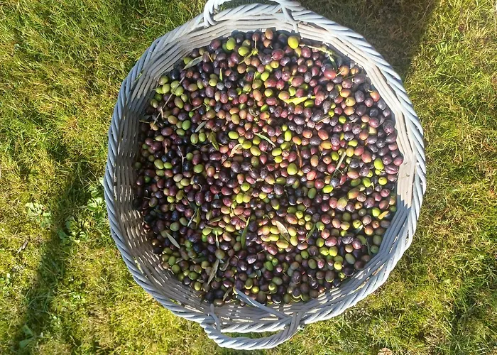 Giorgini * Marsciano