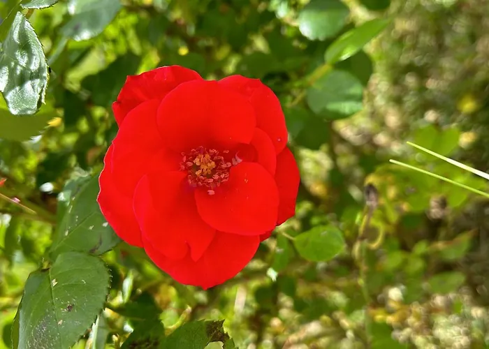 Apartament Giorgini Marsciano